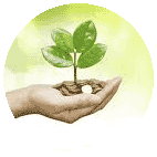 اشتراک قبوض ماهیانه